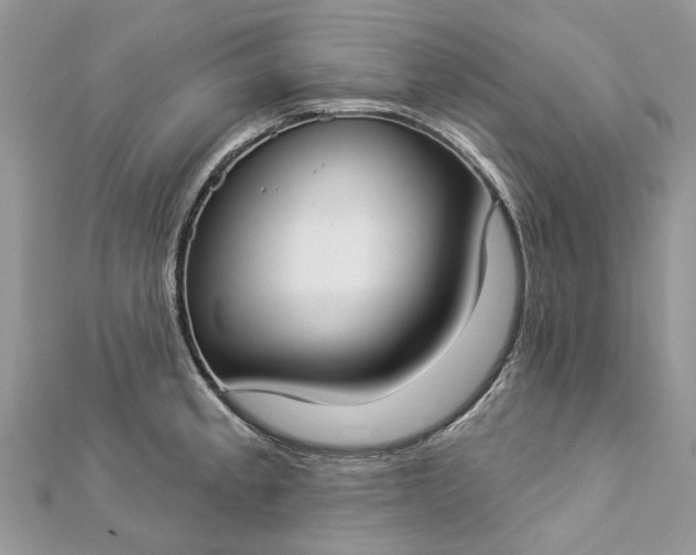 X0000112821189200909041508