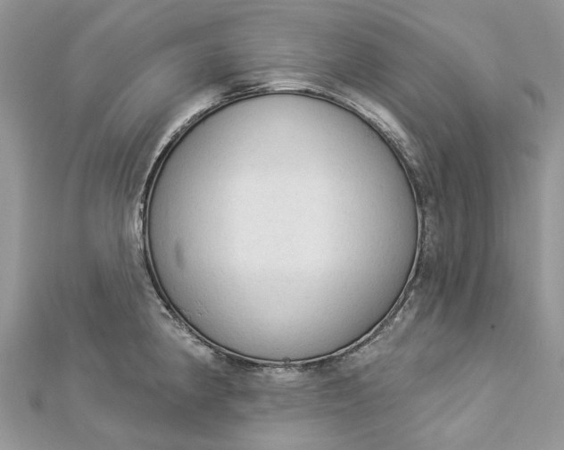 X0000112821190200909041508