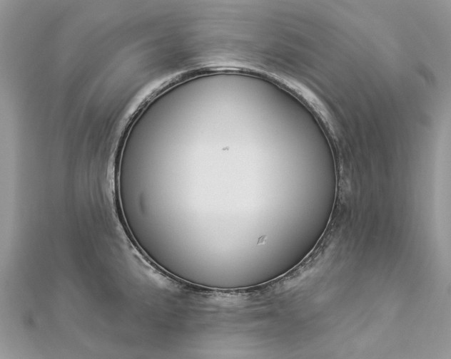 X0000112821191200909041508