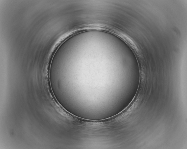 X0000112821192200909041508