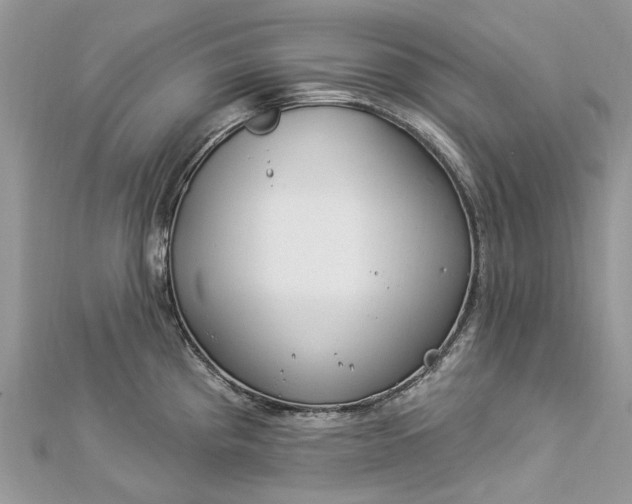 X0000112821193200909041508