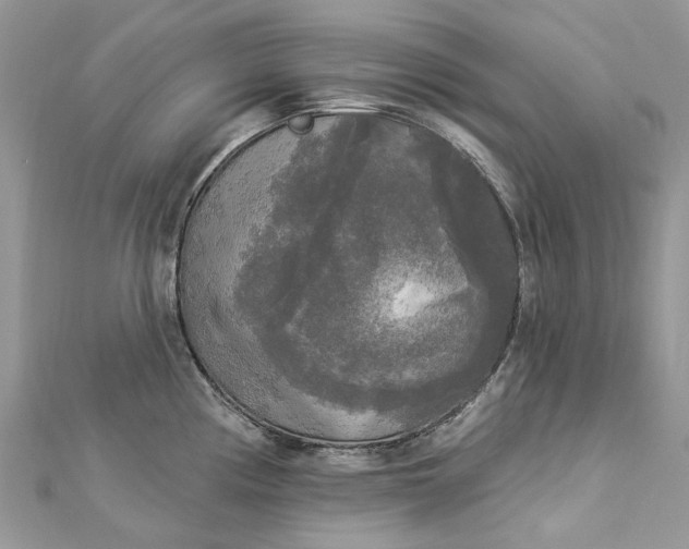 X0000112821194200909041508