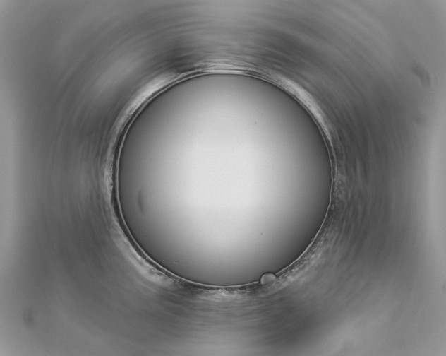 X0000112821195200909041508