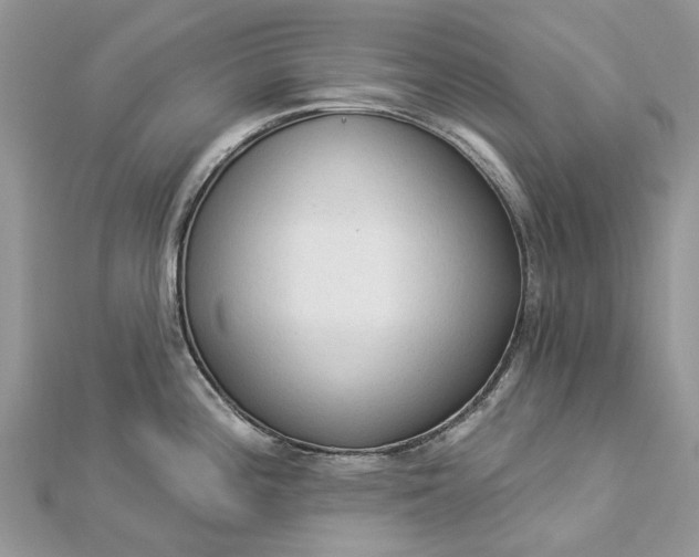 X0000112821196200909041508