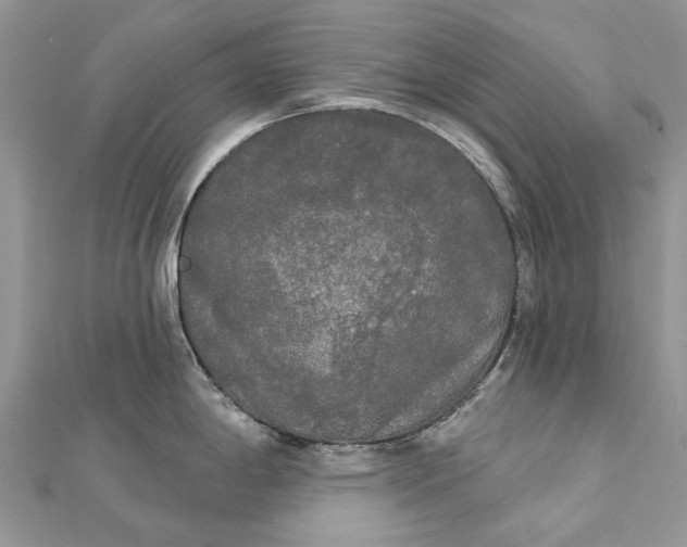 X0000112821198200909041508