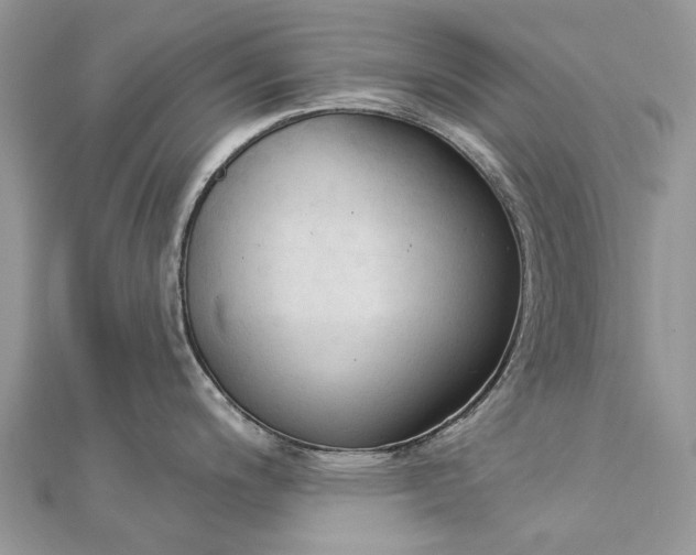 X0000112821200200909041508