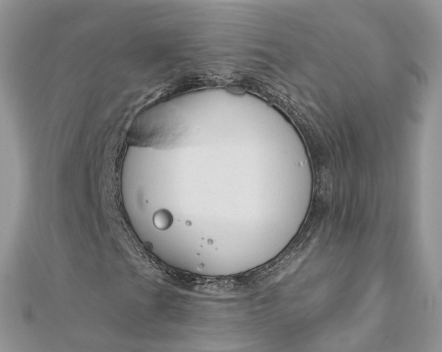 X0000112821201200909041507