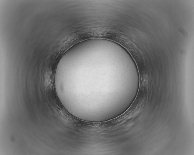 X0000112821202200909041507