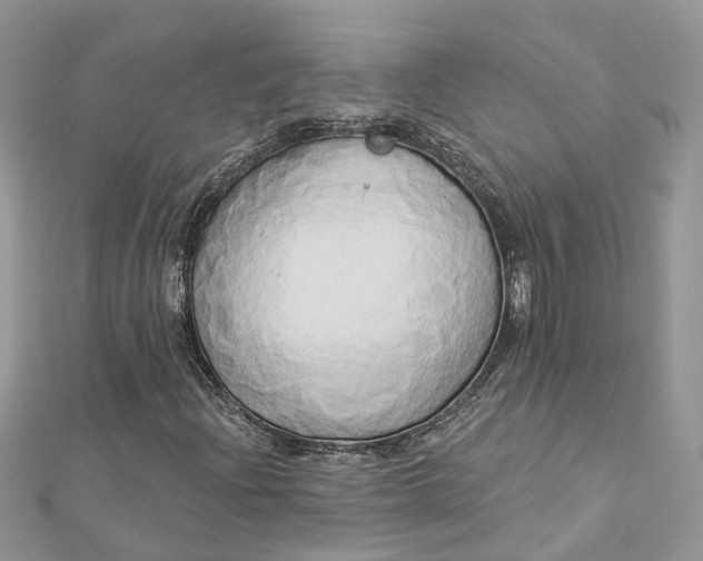 X0000112821204200909041507