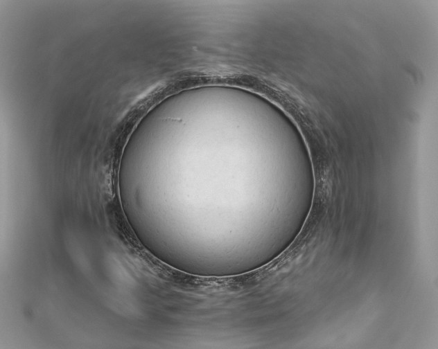 X0000112821205200909041507