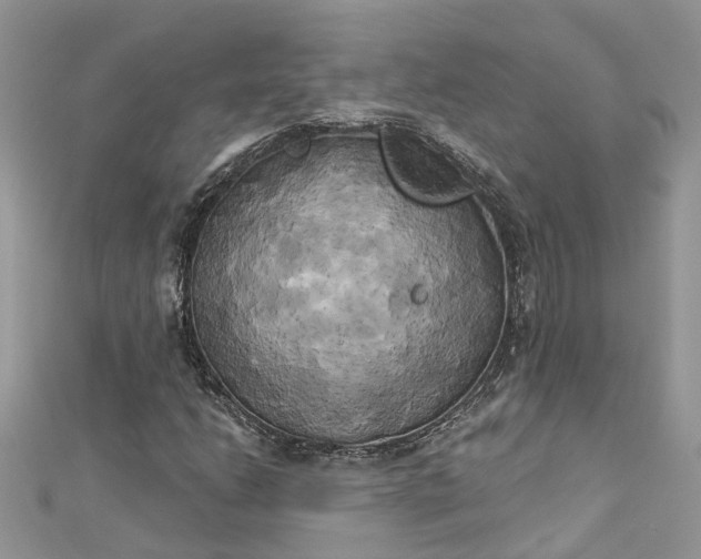 X0000112821206200909041507