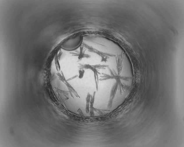 X0000112821208200909041507