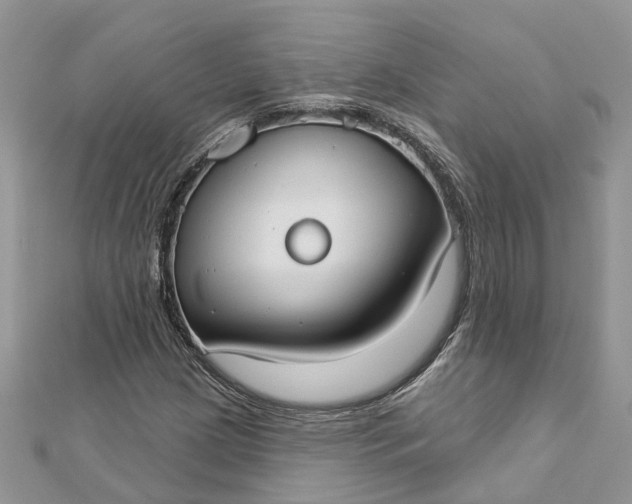 X0000112821209200909041508