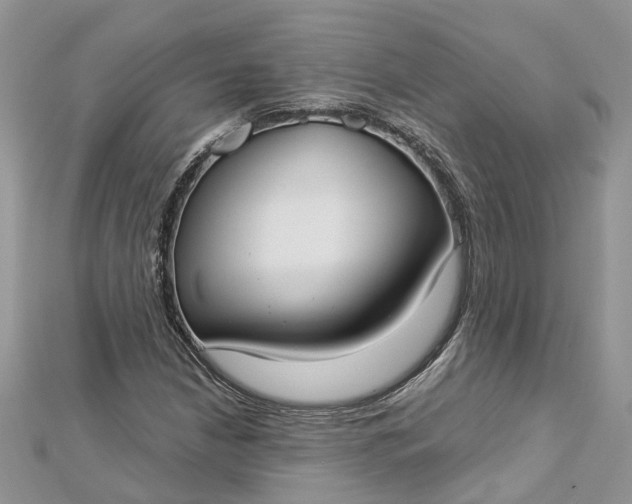 X0000112821210200909041508