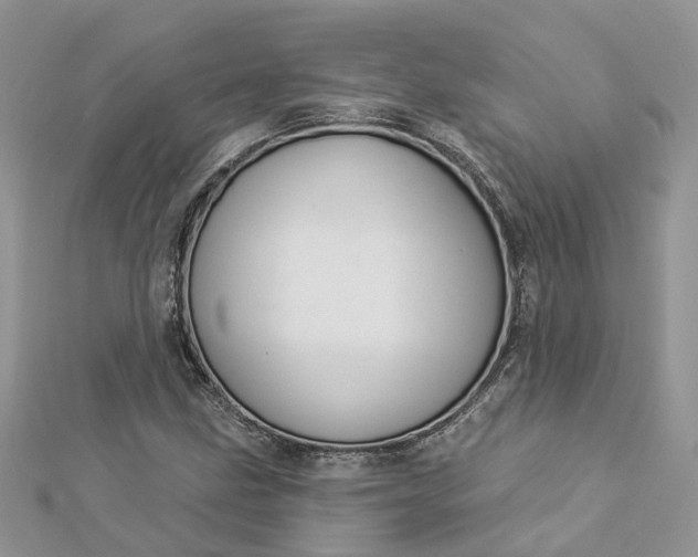 X0000112821211200909041508