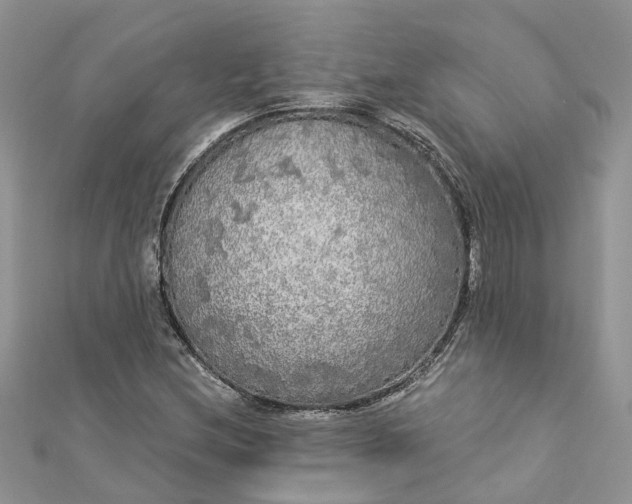 X0000112821212200909041508