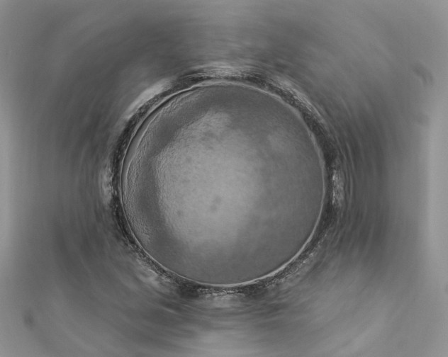 X0000112821213200909041508