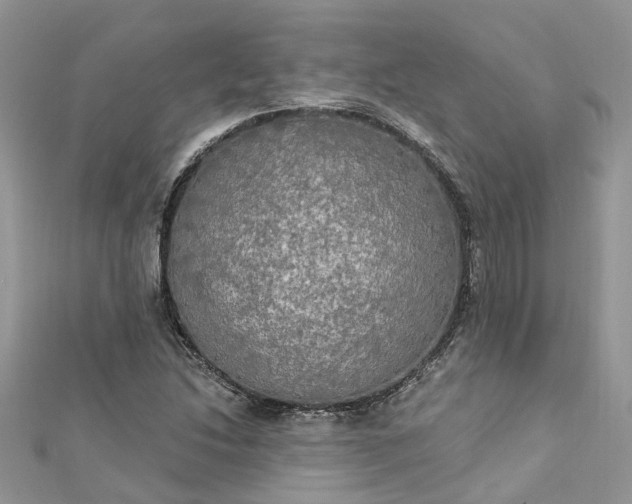 X0000112821214200909041508