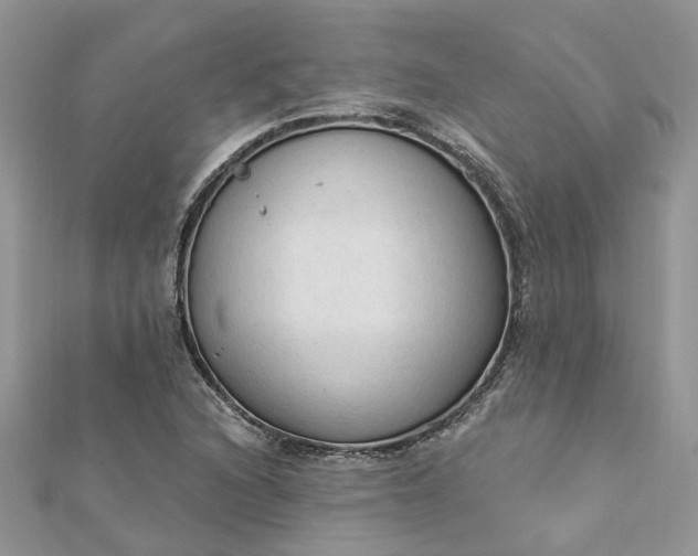 X0000112821216200909041508