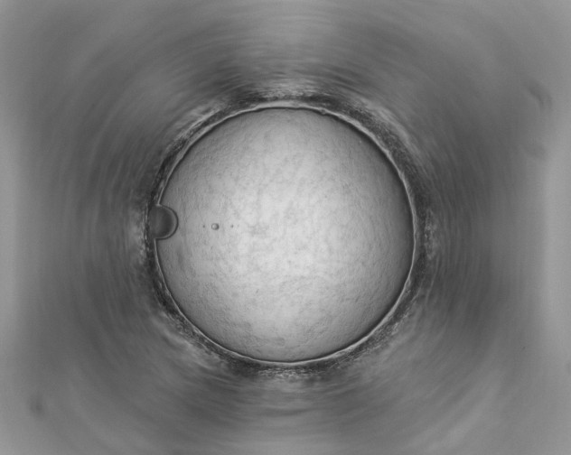 X0000112821217200909041508