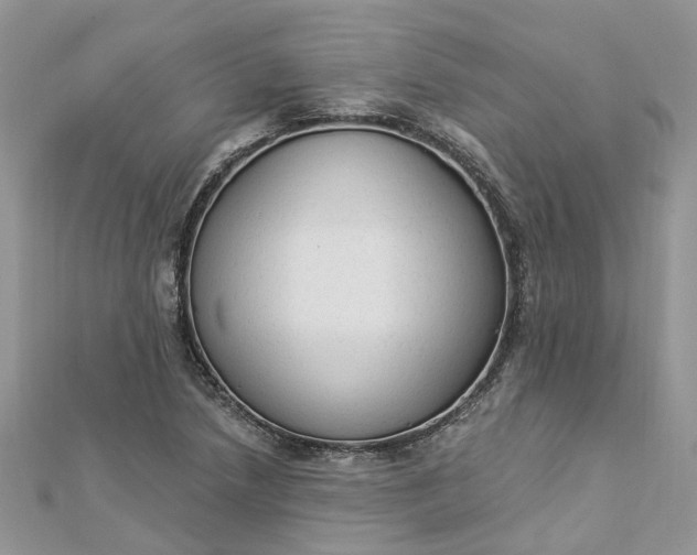 X0000112821218200909041508