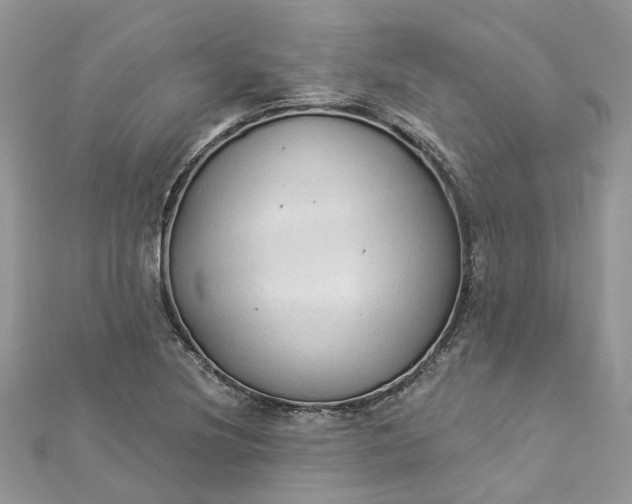 X0000112821220200909041508