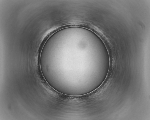 X0000112821222200909041508