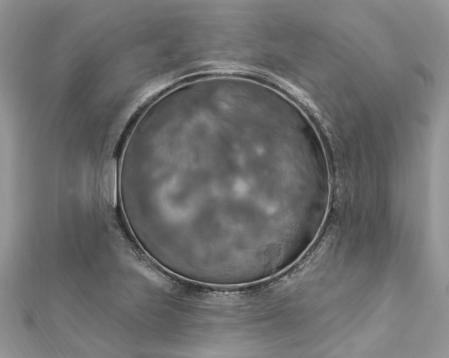 X0000112821223200909041508