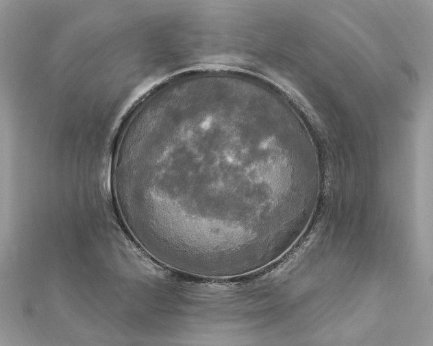 X0000112821224200909041508