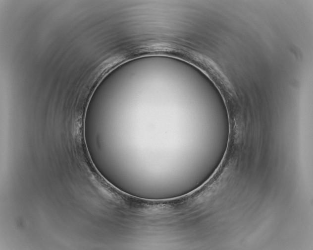 X0000112821225200909041508