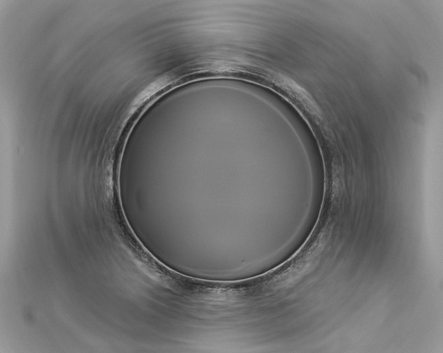 X0000112821226200909041508