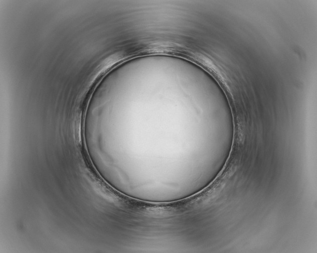 X0000112821227200909041508