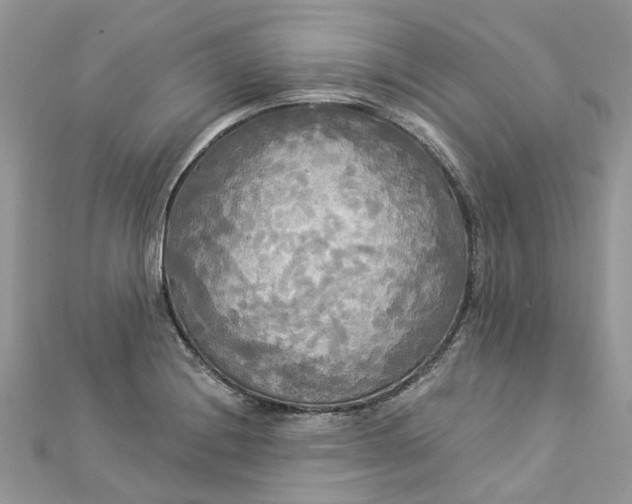 X0000112821228200909041508