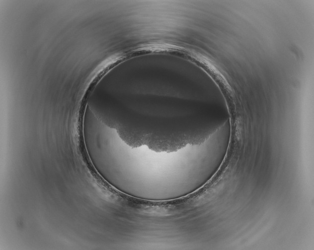 X0000112821229200909041508