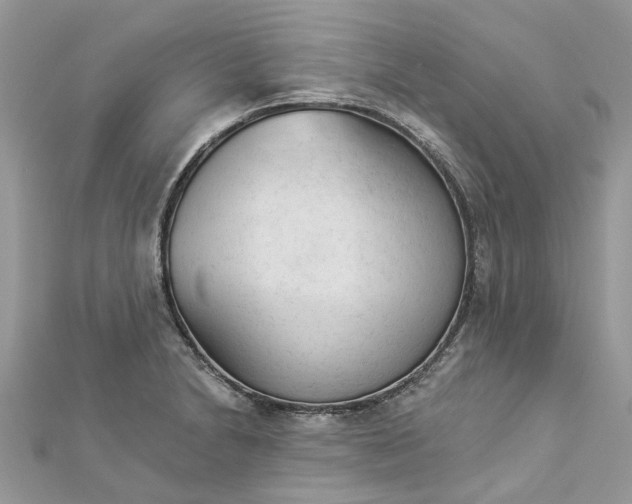 X0000112821230200909041508