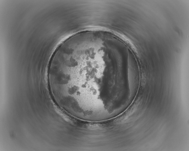 X0000112821231200909041508