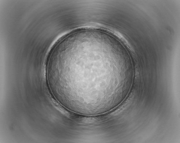 X0000112821232200909041508