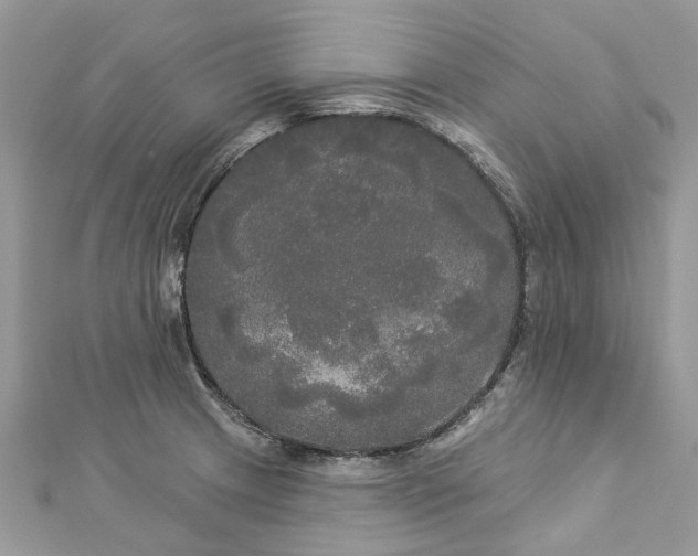 X0000112821233200909041508