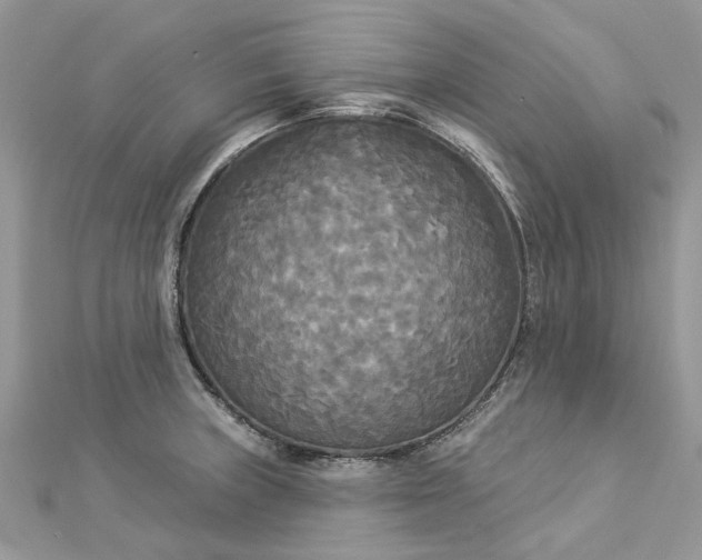 X0000112821235200909041508