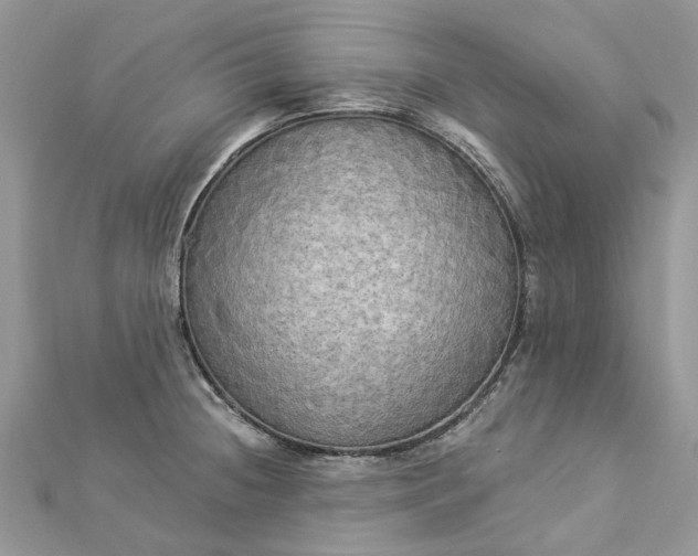 X0000112821236200909041508