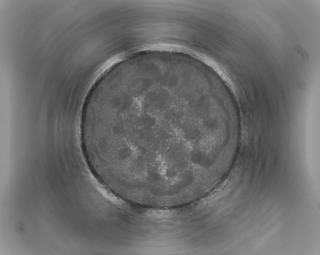 X0000112821237200909041508