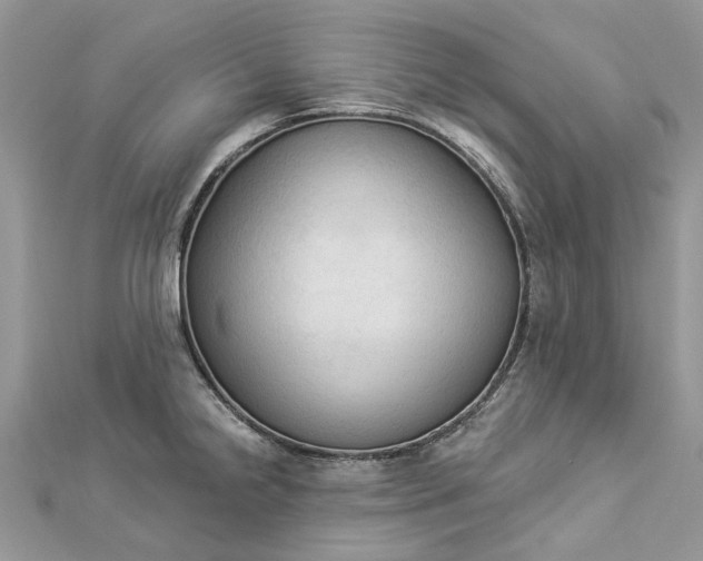 X0000112821238200909041508