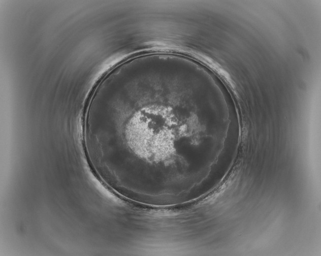 X0000112821239200909041508