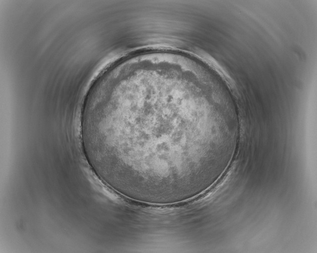 X0000112821240200909041508