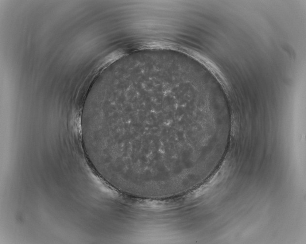 X0000112821241200909041508