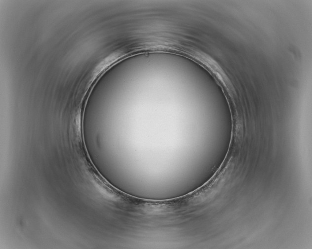 X0000112821242200909041508