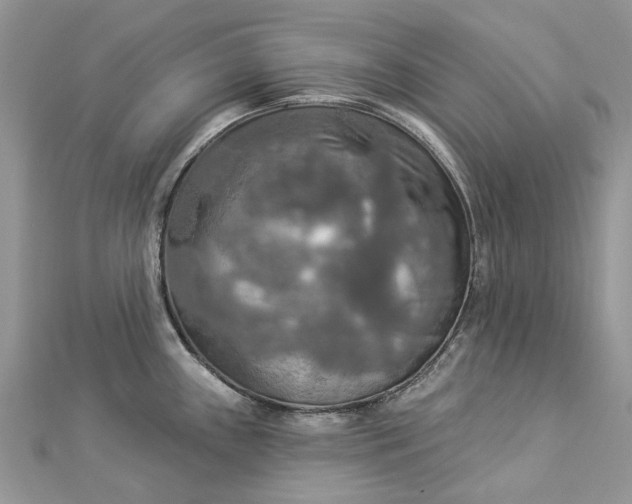 X0000112821243200909041508