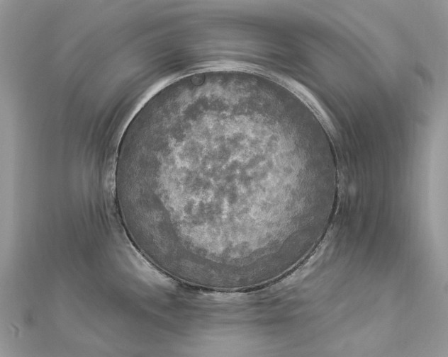 X0000112821244200909041508