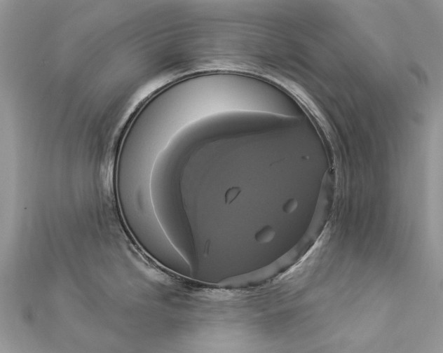 X0000112821246200909041508