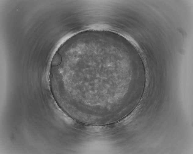 X0000112821248200909041508